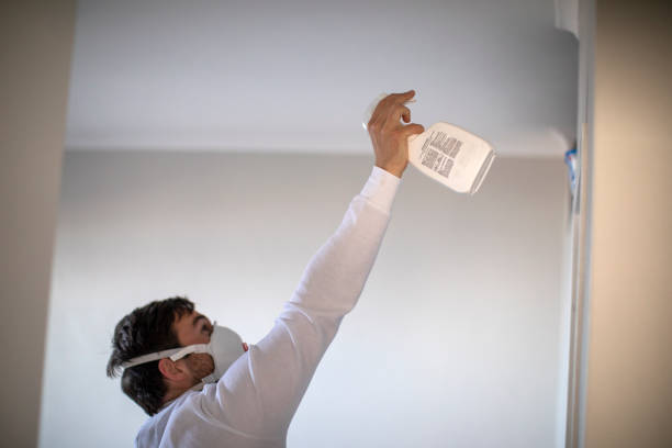 Best Insurance-Related Mold Remediation in Wetumpka, AL