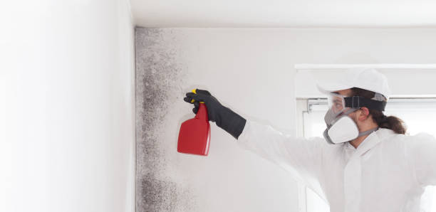 Best Emergency Mold Remediation in Wetumpka, AL